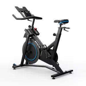 Horizon 7.0IC Indoor Cycle