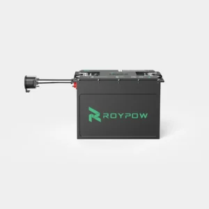 RoyPow 48V 100Ah Lithium Battery S51100L – Power Series